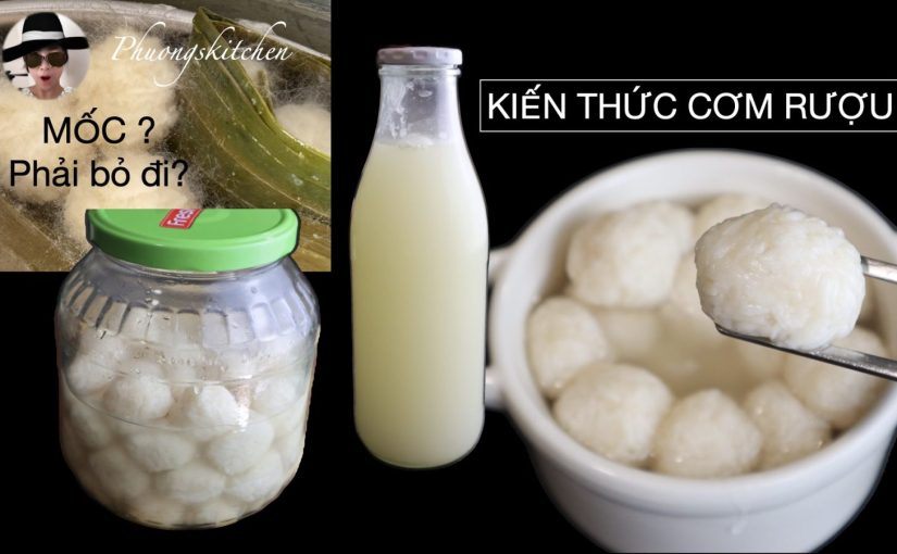KIẾN THỨC MEN CƠM RƯỢU- Cần xem để làm cơm rượu an toàn tại nhà
