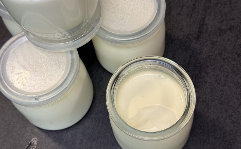 SỮA CHUA LÊN MEN TỪ NẤM KEFIR